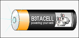 pile duracell