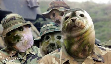 armée