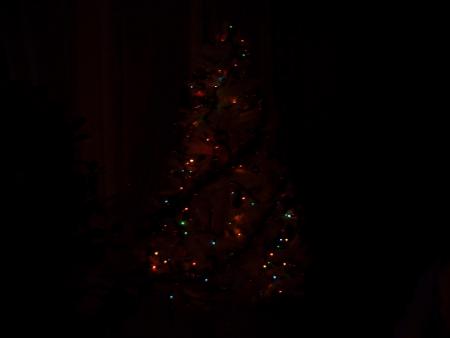 sapin dans le noir